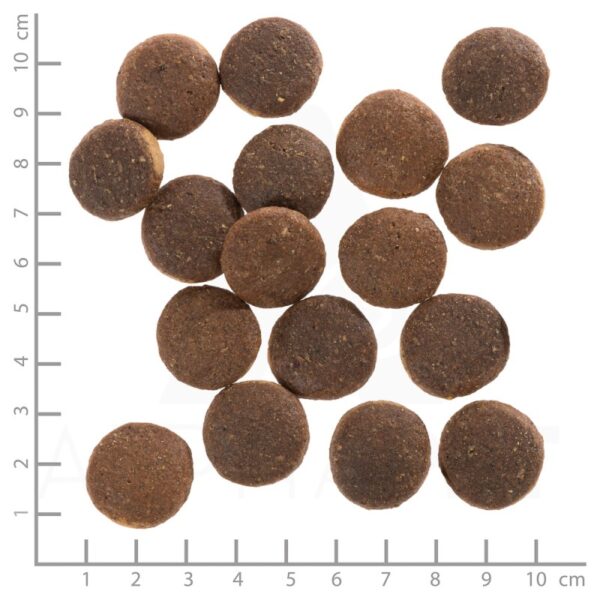wolfsblut-red-rock-adult-kenguru-toekkel-2.jpg wolfsblut-red-rock-adult-kenguru-toekkel-2.jpg